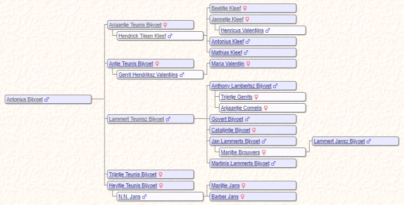 Schema Antonius 2018