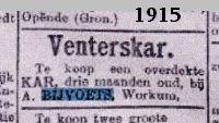 advertentie1915