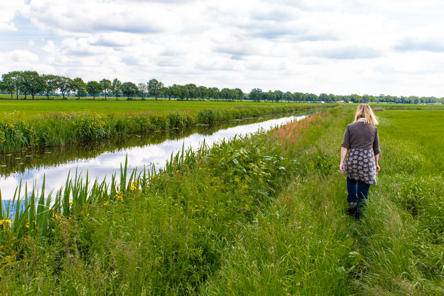 anwb wandeling borger 29