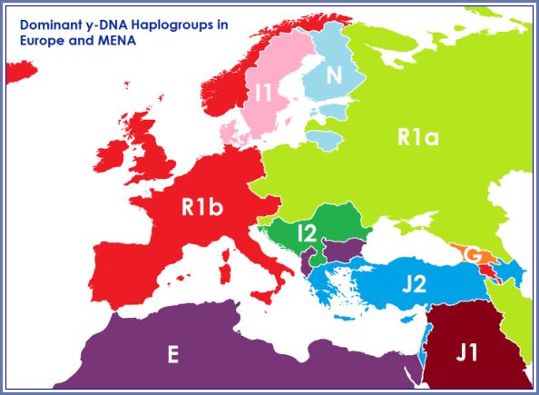 HaploGroups