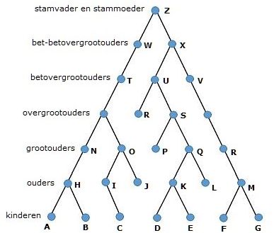 stamboom3a