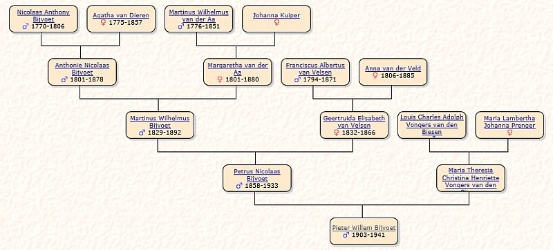 stamboom PW Bijvoet