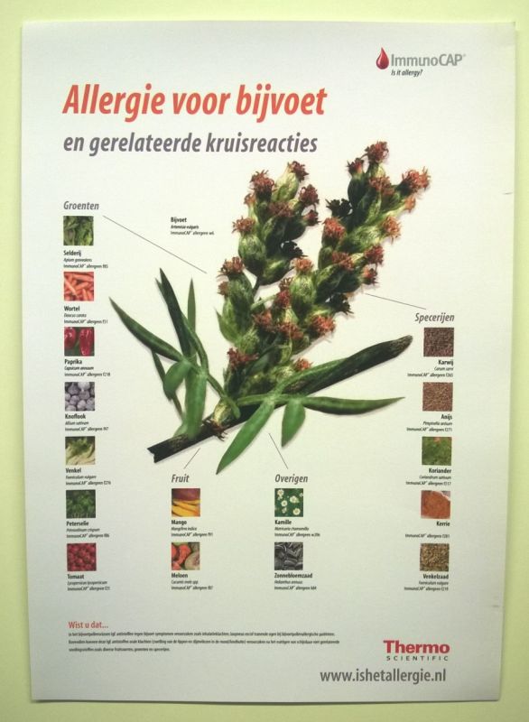 AllergieVoorBijvoetPoster